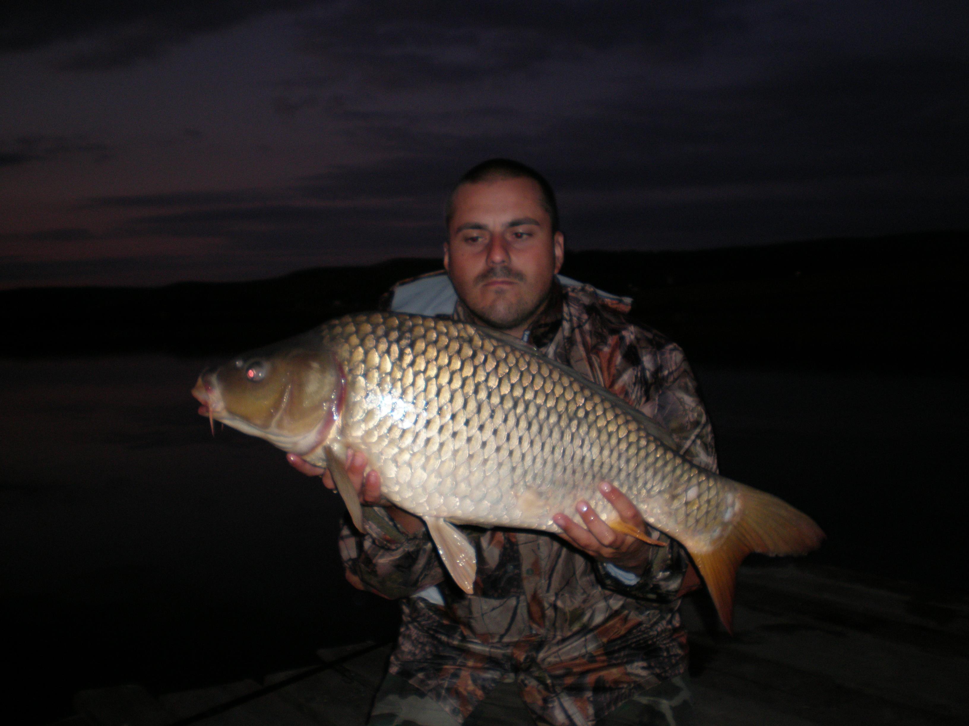 ccarp - P8210102.JPG